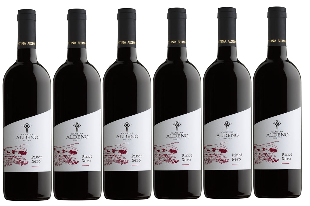 6 bottiglie Pinot Nero BIO DOC Trentino cl 75
