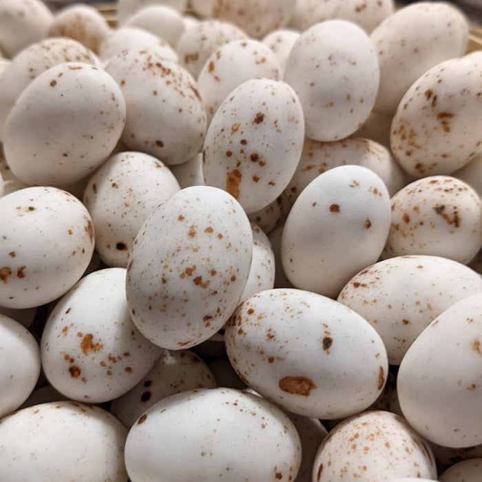 Ovetti Confettati Fondenti Crema Nocciola g 500