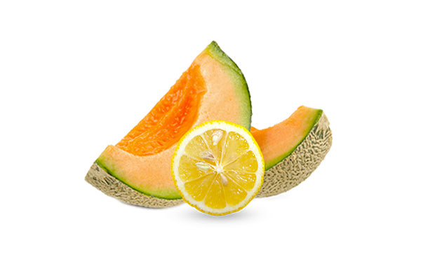 Confettura tuttafrutta Melone e Limone Stringhetto 240 g